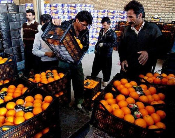 65 مرکز توزیع مستقیم میوه در آذربایجان غربی در نظر گرفته 65 مرکز توزیع مستقیم میوه در آذربایجان غربی در نظر گرفته شده است