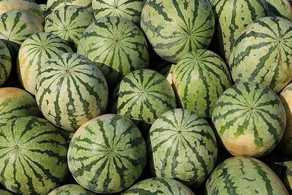 ثبت قیمت های عجیب برای هندوانه؛ هرکیلوگرم 10000 تومان